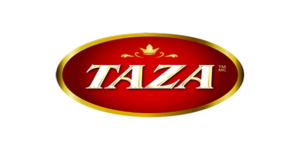 indian grocery store mississauga